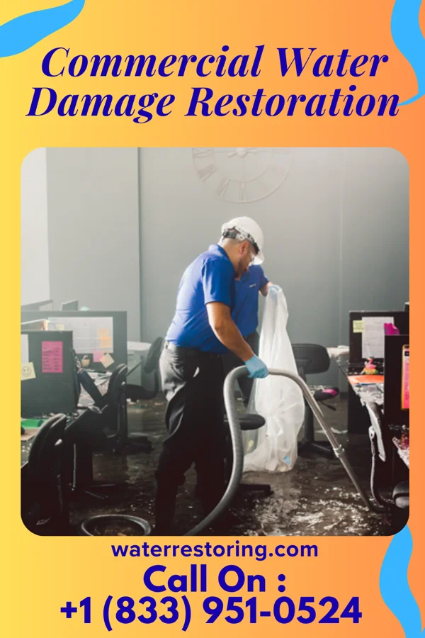 Commercial Water Damage Restoration in Salemburg, NC